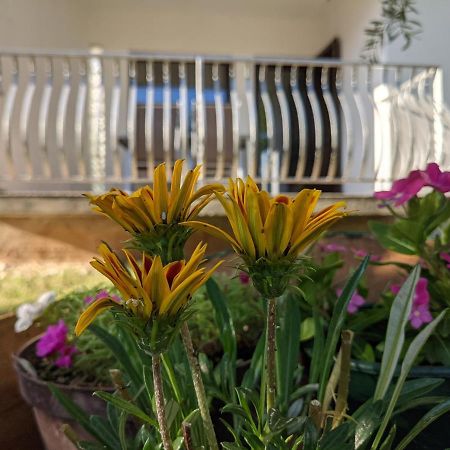 Apartment Ika Baška Esterno foto